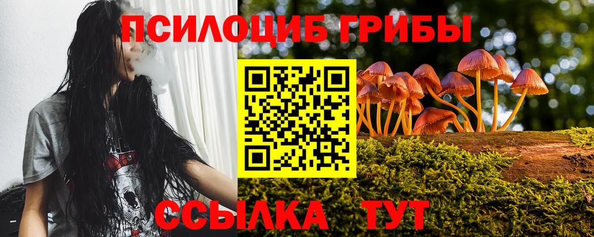 Псилоцибиновые грибы ЛСД Дербент
