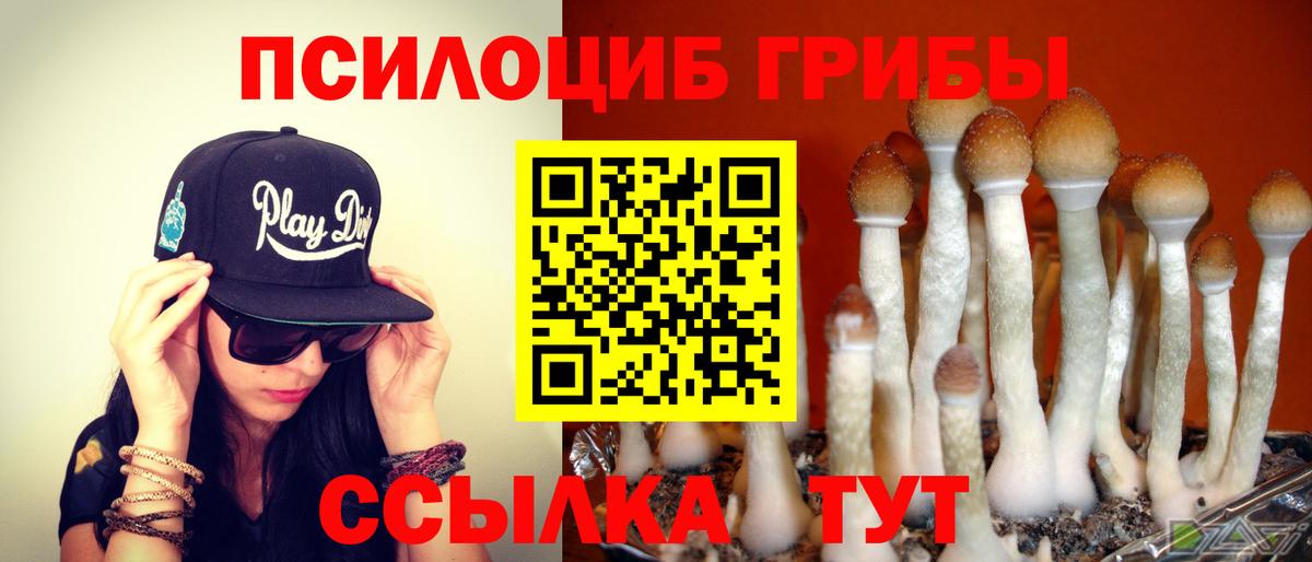 Псилоцибиновые грибы мицелий  Вход с VPN  Галлюциногенные грибы прущие грибы  Дербент 